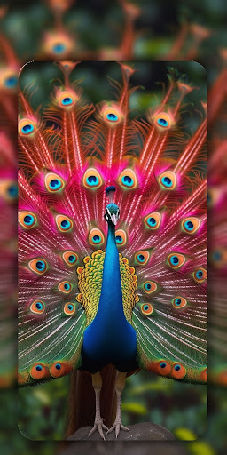 Birds Wallpaper in 4K ekran görüntüsü