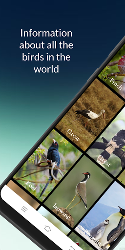 Birds information ekran görüntüsü