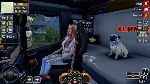 Euro Truck Driver Simulator 3d ekran görüntüsü