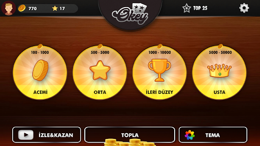 Çanak Okey - İnternetsiz Çanak ekran görüntüsü
