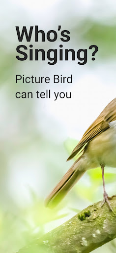 Picture Bird - Bird Identifier ekran görüntüsü