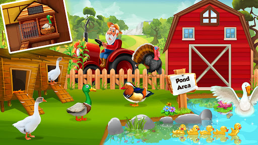 Duck Farm Eggs Chicken Poultry ekran görüntüsü