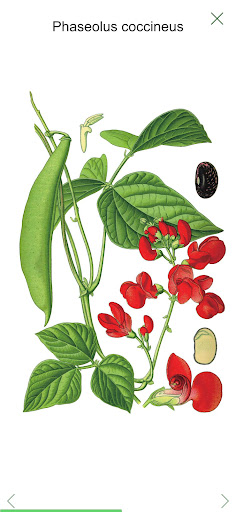 Plant Atlas ekran görüntüsü