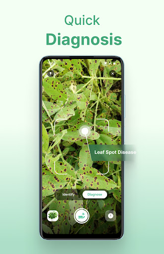 Plant Identifier - AI Diagnose ekran görüntüsü