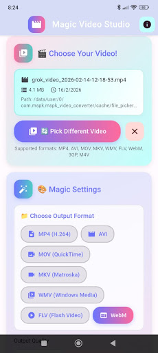 Video Converter ekran görüntüsü