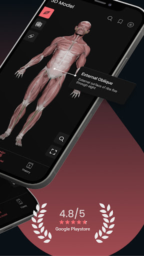 Anatomy by M&M ekran görüntüsü