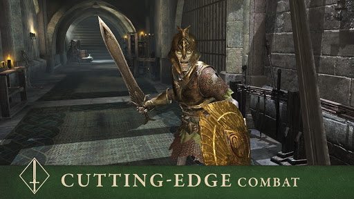 The Elder Scrolls: Blades ekran görüntüsü