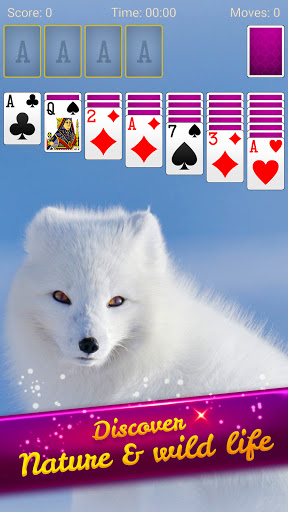 Solitaire Escape ekran görüntüsü