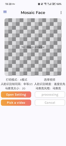 Mosaic Face-Smart Video Blur ekran görüntüsü