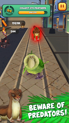 Kakapo Run ekran görüntüsü