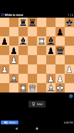Chess Alarm: Bulmacalar ekran görüntüsü
