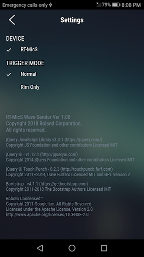 RT-MicS Wave Sender ekran görüntüsü
