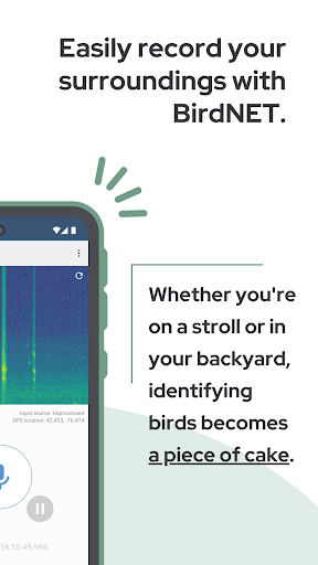 BirdNET ekran görüntüsü