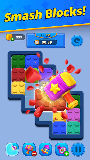 Twin Color Match: Block Puzzle ekran görüntüsü