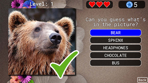 Picture Quiz ekran görüntüsü
