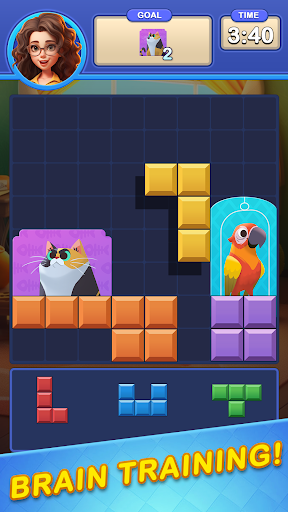 Block Fill Puzzle ekran görüntüsü