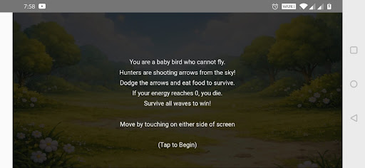 BirdSurvival ekran görüntüsü