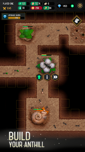Ant Colony Simulator ekran görüntüsü