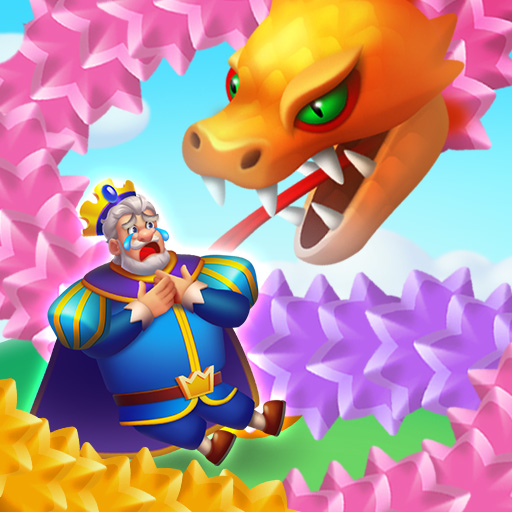 Kingdom Rescue Puzzle