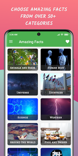 Amazing Facts: Did You Know? ekran görüntüsü