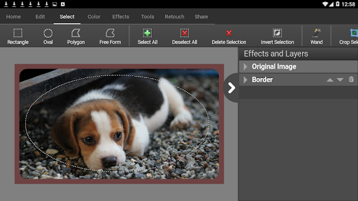 PhotoPad Photo Editor ekran görüntüsü