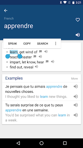 French English Dictionary ekran görüntüsü