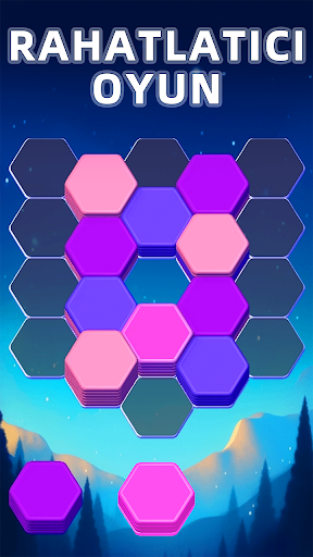 Hexa Master 3D - Color Sort ekran görüntüsü