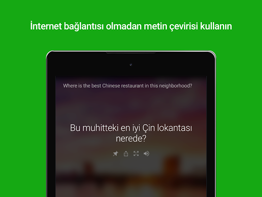 Microsoft Çevirmen ekran görüntüsü
