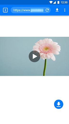 Master Video Downloader ekran görüntüsü