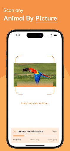 Animal Identifier ekran görüntüsü