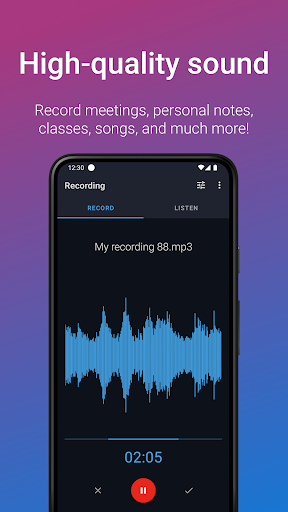 Easy Voice Recorder Pro ekran görüntüsü