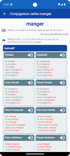 Conjugaison Verbes Français ekran görüntüsü