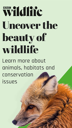 BBC Wildlife Magazine ekran görüntüsü