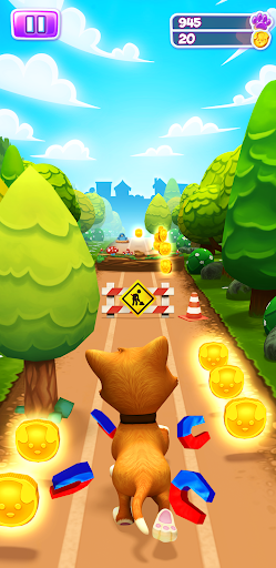 Pet Run - Puppy Dog Game ekran görüntüsü