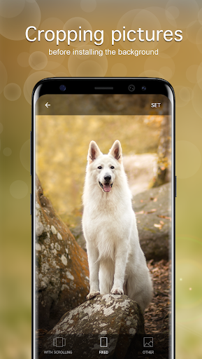 Dog Wallpapers & Puppy 4K ekran görüntüsü
