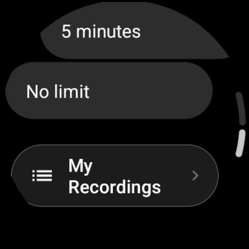 Audio Recorder Watch Pro ekran görüntüsü