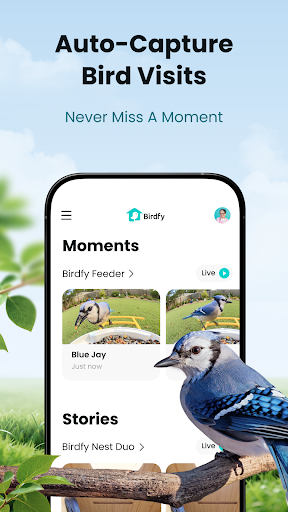 Birdfy ekran görüntüsü