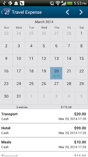 Travel Expense ekran görüntüsü