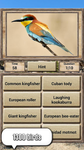 Animal Kingdom - Quiz Game ekran görüntüsü