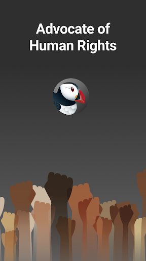 Puffin Gizli Tarayıcı ekran görüntüsü