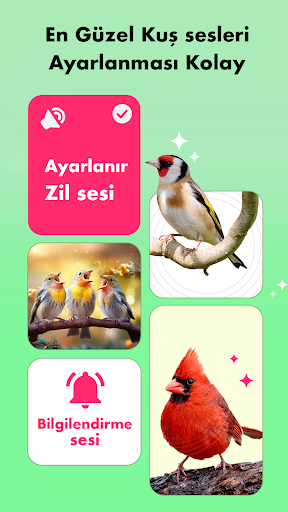 Kuş Sesleri, Kus Çağrıları ekran görüntüsü