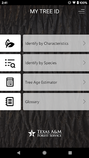 My Tree ID ekran görüntüsü