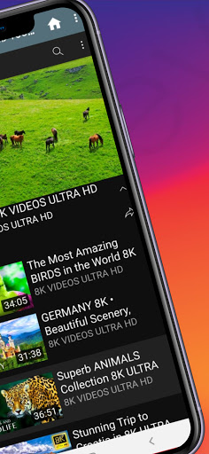 WILD & CITY 4K UHD TOUR ekran görüntüsü