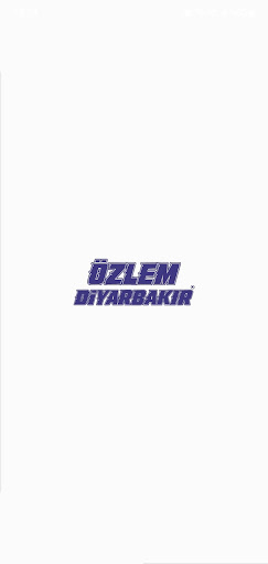 Özlem Diyarbakır Turizm ekran görüntüsü