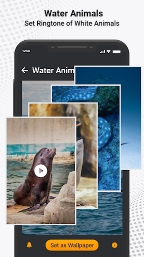 Animal Ringtones & Sounds ekran görüntüsü