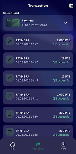 Paymera ekran görüntüsü