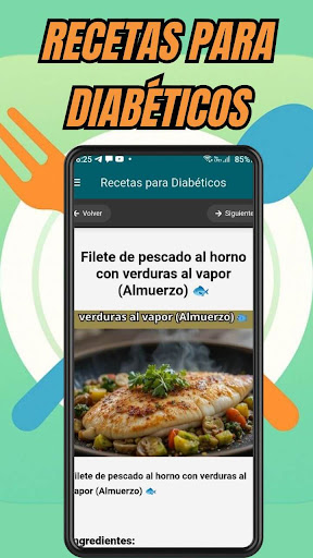 Recetas para Diabéticos ekran görüntüsü