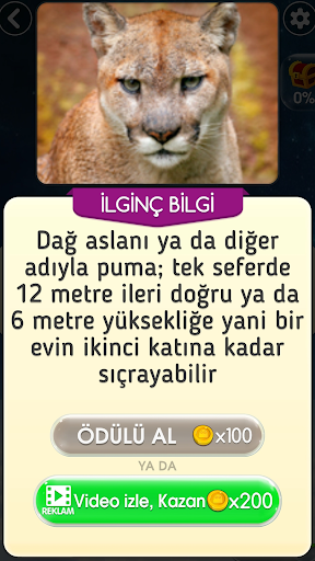 Kelime Oyunu WFF - Bulmaca ekran görüntüsü