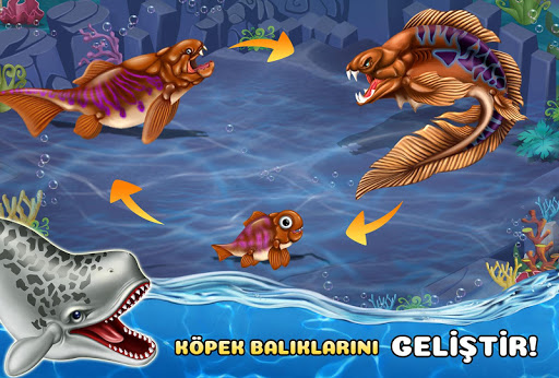 Shark World ekran görüntüsü