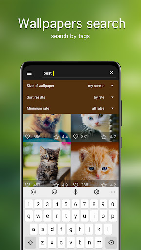 Cat Wallpapers & Cute Kittens ekran görüntüsü